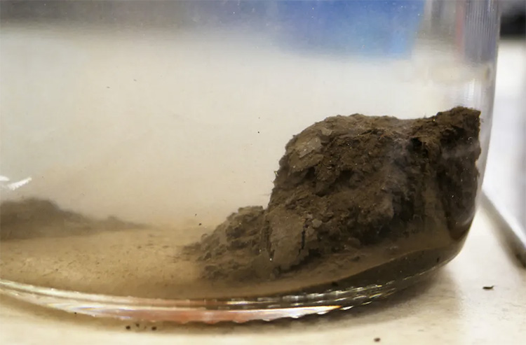 permafrost soil sample in jar